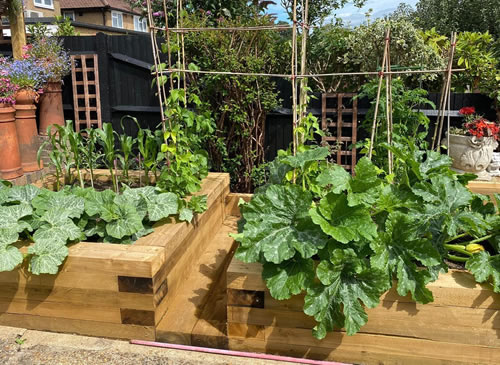 bespoke raised wooden planters built by Maple Carpentry after 6 months growing